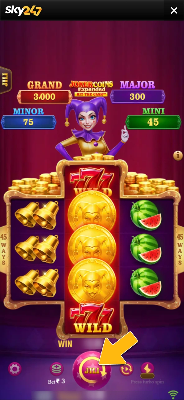 Pick a casino game to play on the official Sky247 site.