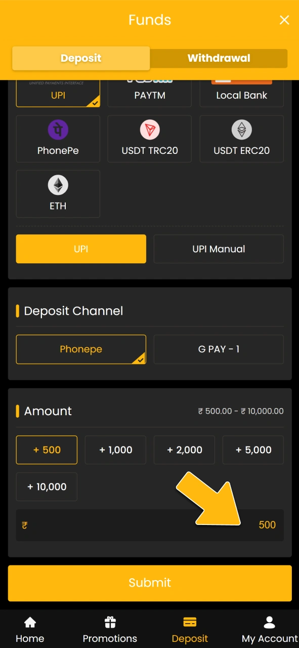Enter the deposit amount on the official Sky247 payment page.