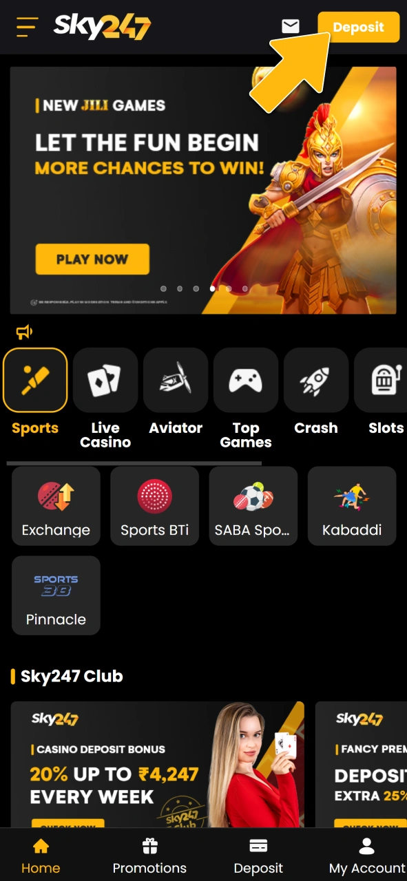 Open the deposit section on the official Sky247 gaming platform.