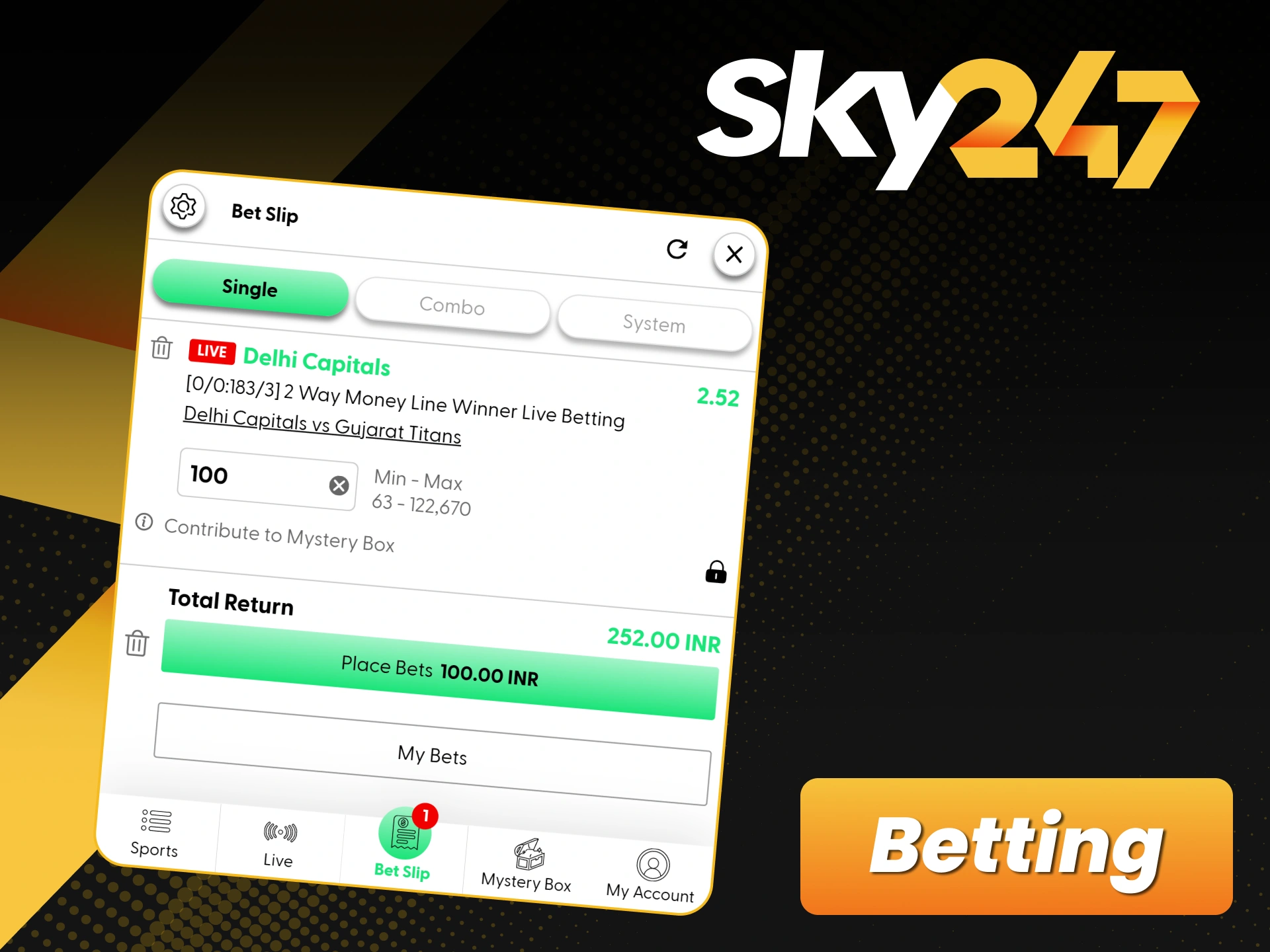 Start your mobile betting journey with the professional Sky247 app.