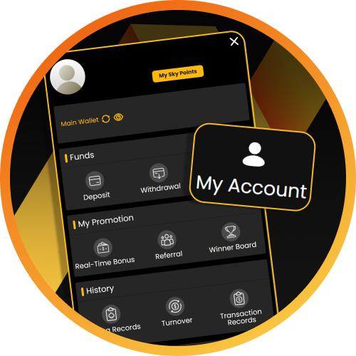 Manage your personal details and balance easily within the Sky247 user profile.