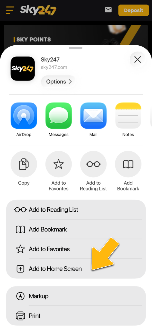 Add the Sky247 web app to your iOS home screen for instant access.