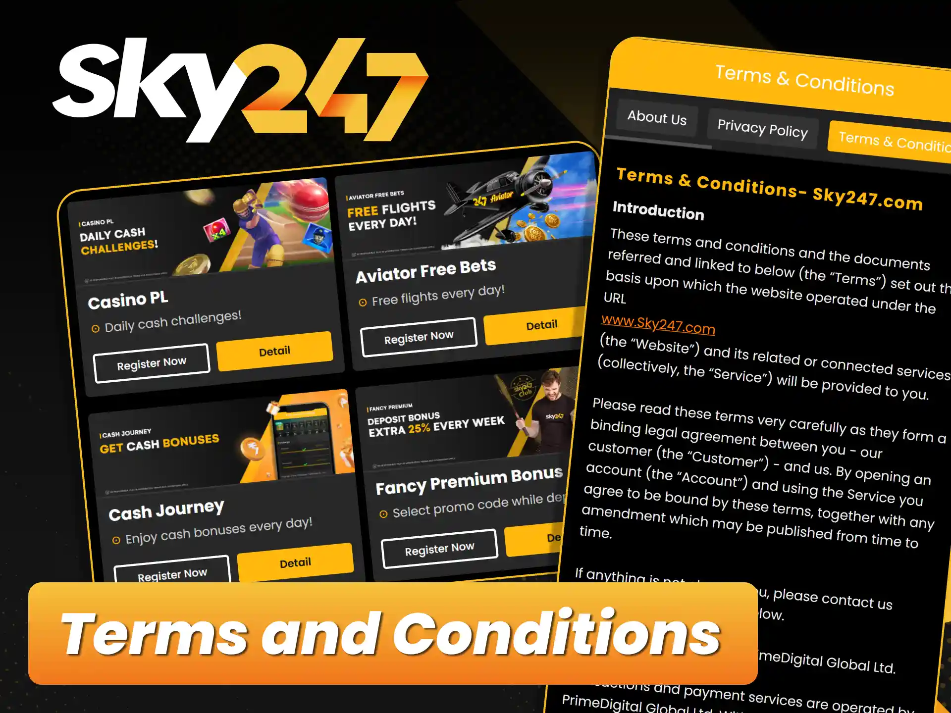 Read all promotional rules and wagering conditions on official Sky247.