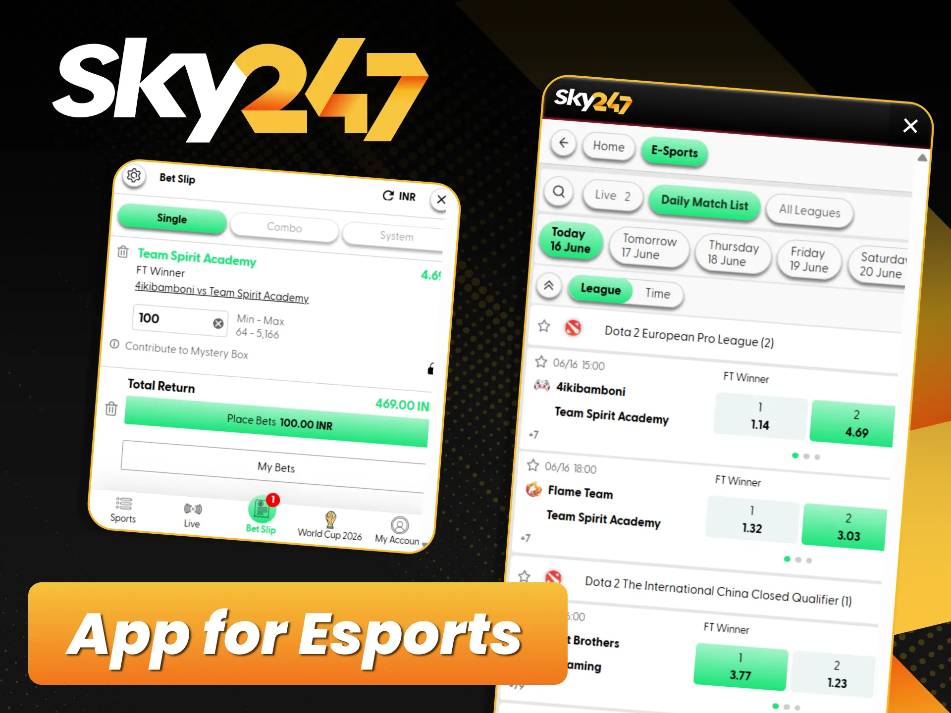 Download the portable mobile betting application directly from official Sky247.