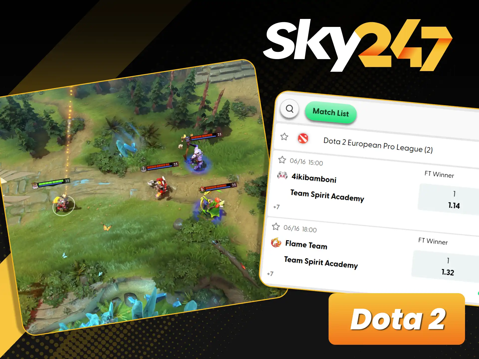 Wager on professional Dota 2 championship matches with official Sky247.