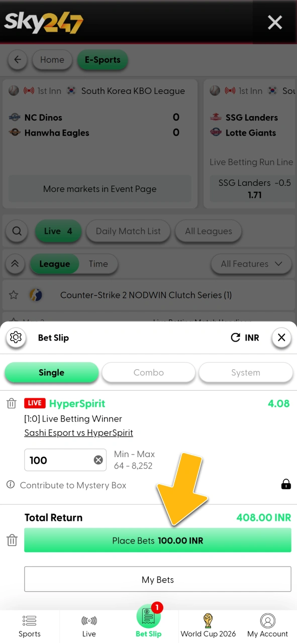 Confirm your esports stake amount on the official Sky247 slip.