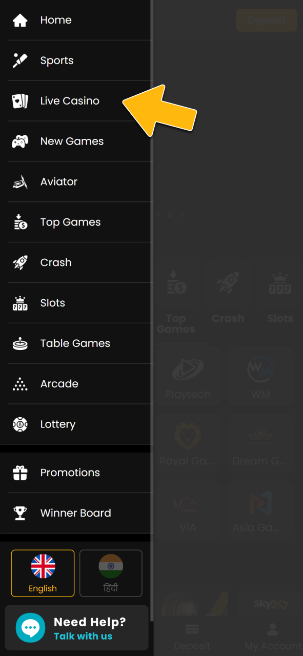 Enter the dedicated live dealer lobby section via official Sky247.
