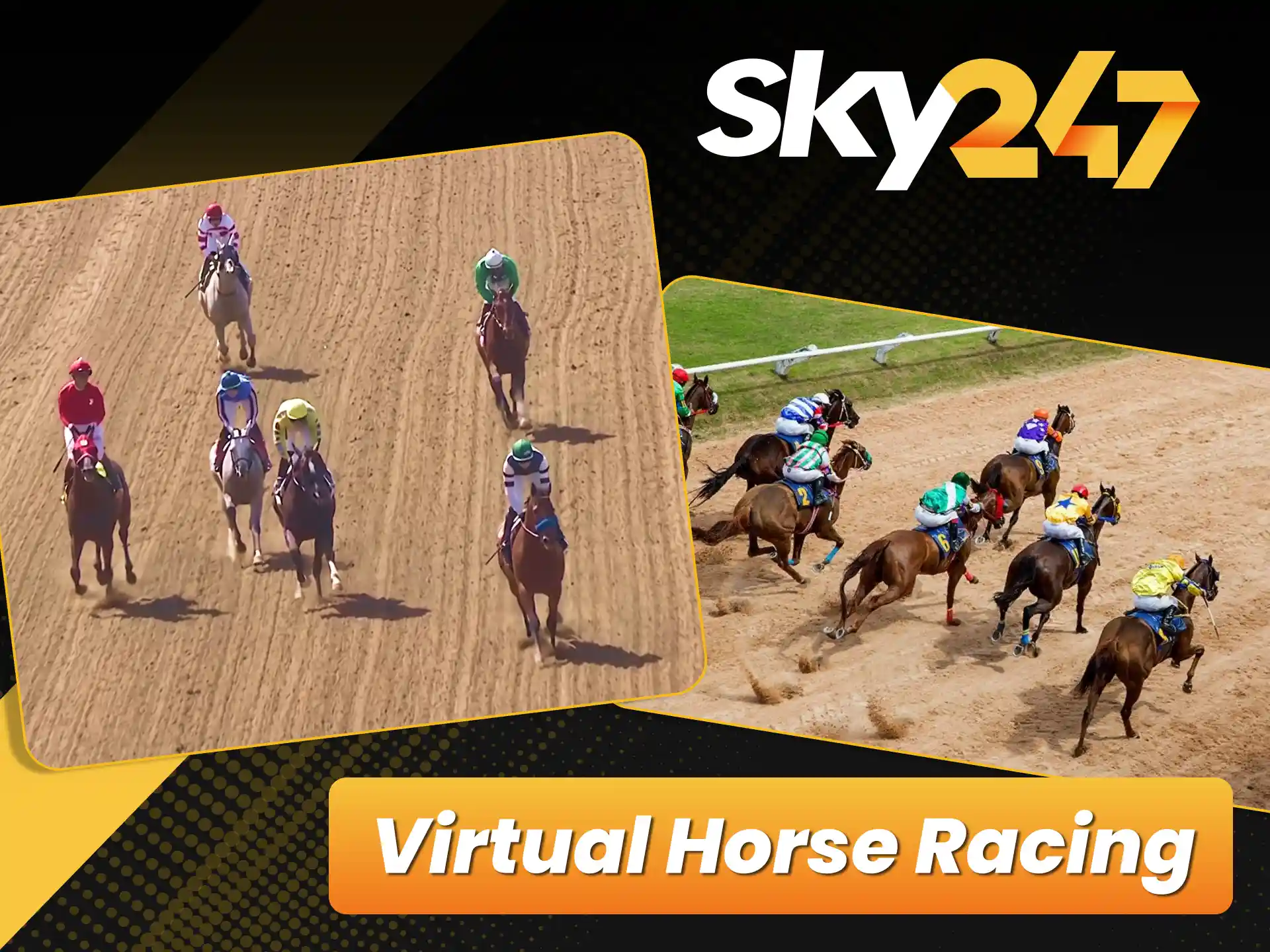 Check competitive odds for virtual horse racing at official Sky247.